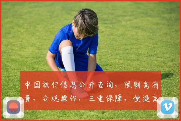 中国执行信息公开查询，限制高消费，合规操作，三重保障，便捷高效，不容错过，三重优势，一网打尽。