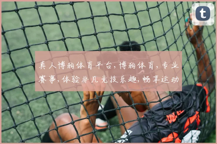 真人博狗体育平台,博狗体育,专业赛事,体验非凡竞技乐趣,畅享运动激情